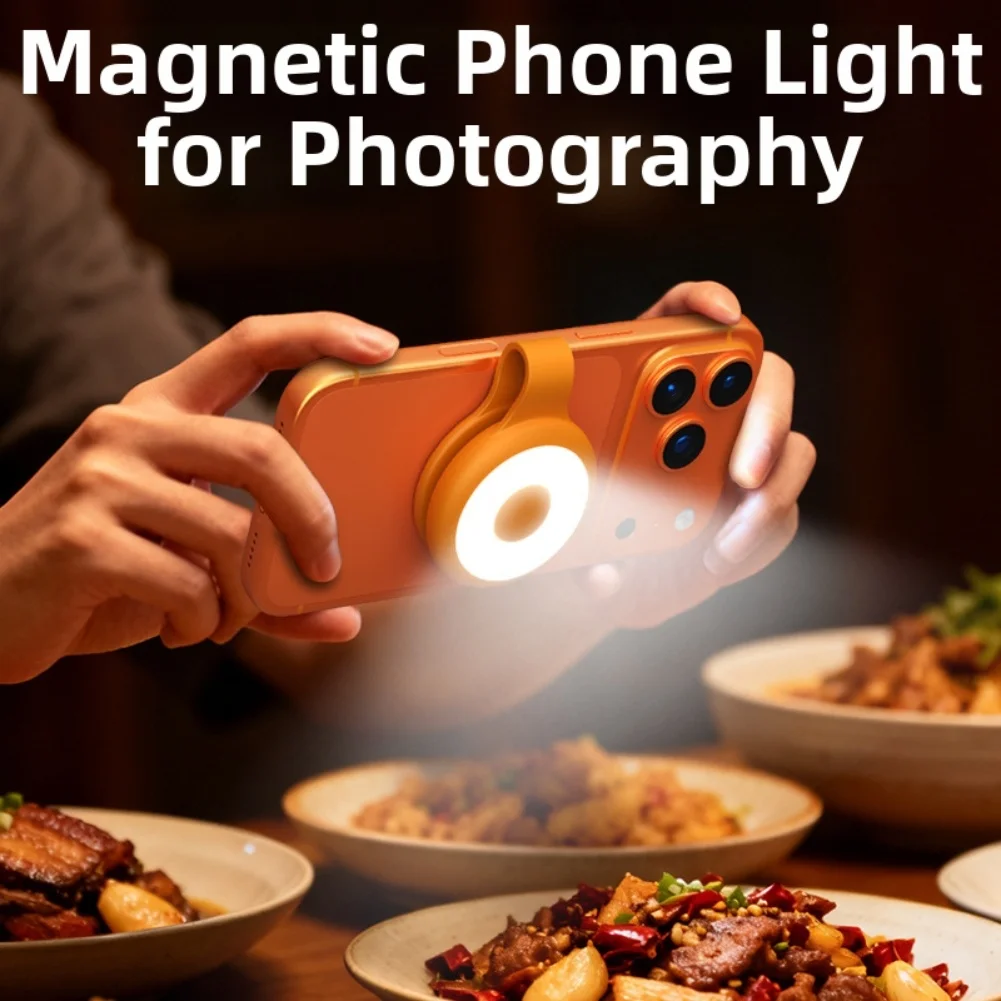 USB Rechargeable Phone Fill Li - Outdoor Lighting And Camera 评论和价格