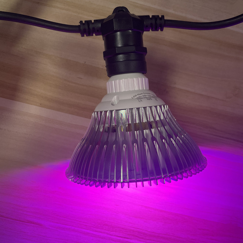 10M Cable LED String Commercia - Outdoor Lighting Manufacturers 评论和价格