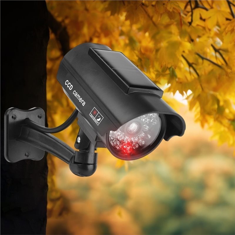 [B24B!】 Indoor Or Outdoor Use  - Outdoor Lighting And Camera 评论和价格