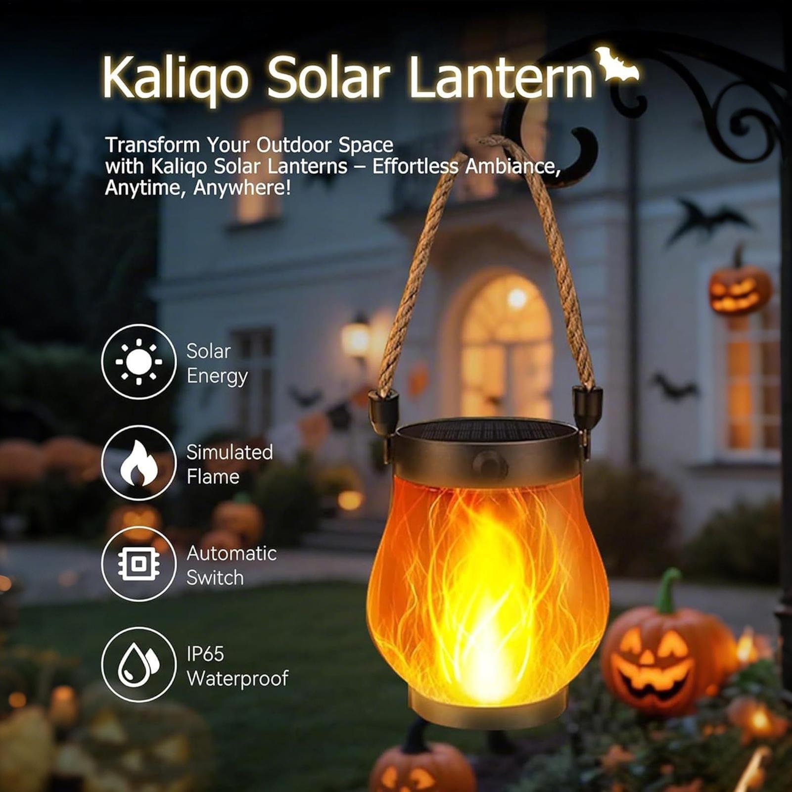 Solar Flickering Flame Lights  - Fire Torch Solar 评论和价格