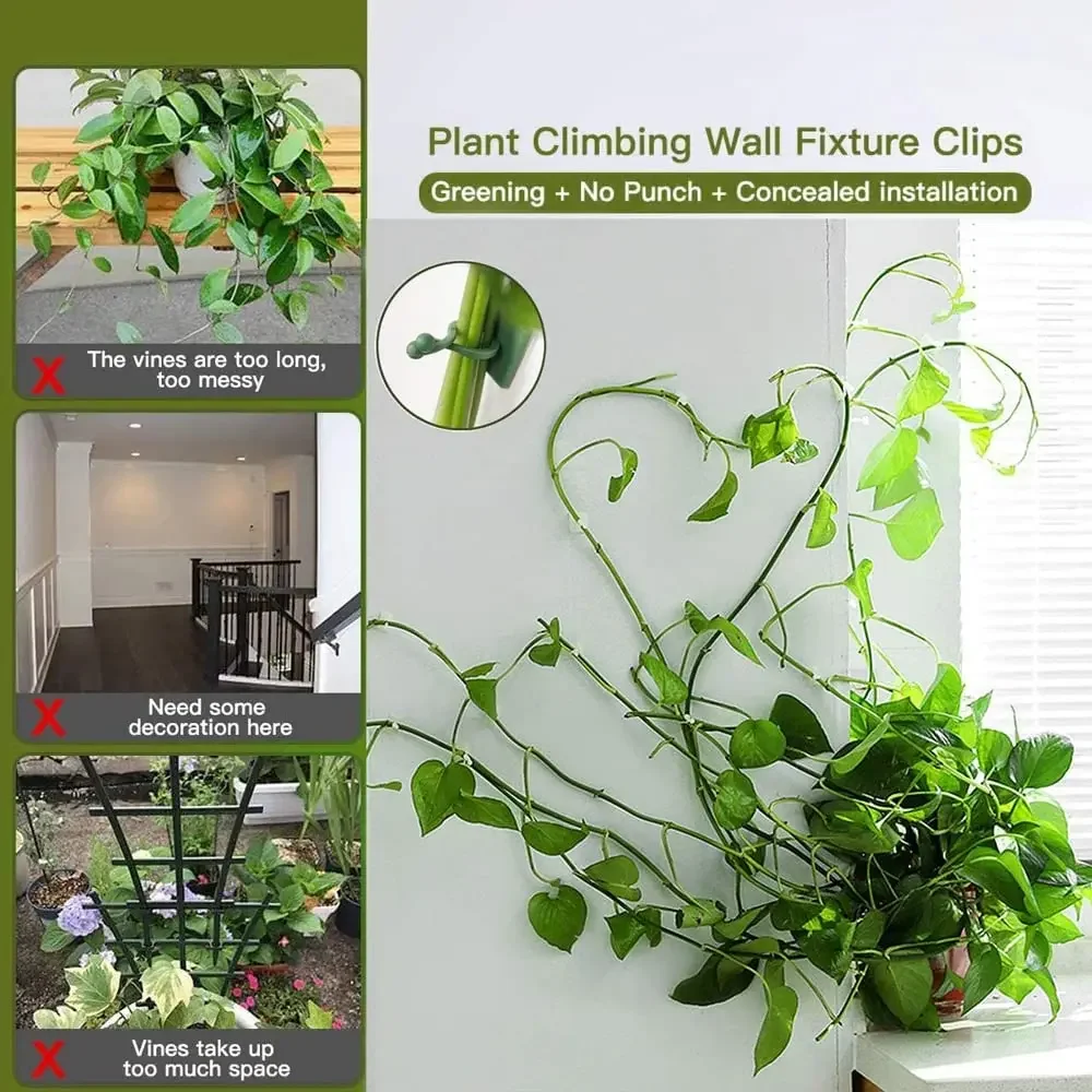 1/30/50Pcs For Garden Accsesor - Outdoor Lighting Manufacturers 评论和价格